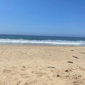 Meet your Posher, Posh